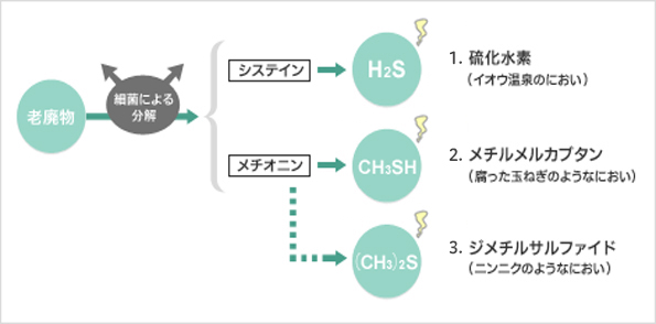 口臭の原因