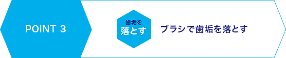 POINT3 ブラシで歯垢を落とす