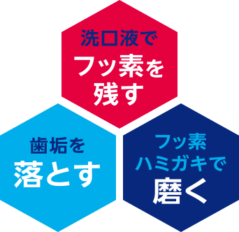 洗口液でフッ素を残す／歯垢を落とす／フッ素ハミガキで磨く