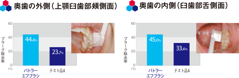 磨き残しの多い部位の清掃性 奥歯の外側 奥歯の内側