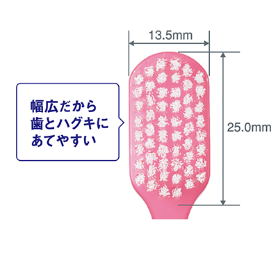 幅広だから歯とハグキにあてやすい