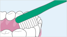 正しい歯みがき 歯磨き むし歯 虫歯 を予防 むし歯 虫歯 予防にサンスター バトラー