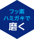 フッ素ハミガキで磨く