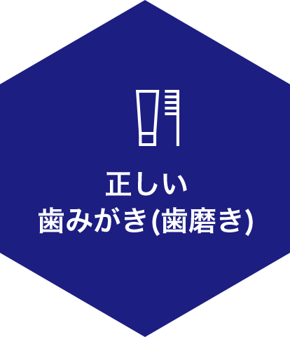 正しい歯みがき(歯磨き)